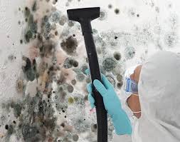 Best Attic Mold Removal in Dulles Town Center, VA